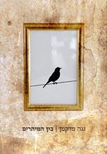 בין המיתרים